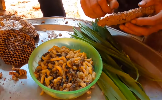 Nhộng ong rừng - Ảnh từ Tây Bắc Discovery