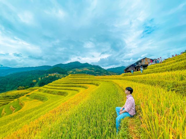 Những thửa ruộng bậc thang chín vàng óng ả thu hút khách du lịch ở Mù Cang Chải - Ảnh từ Tấn Dũng