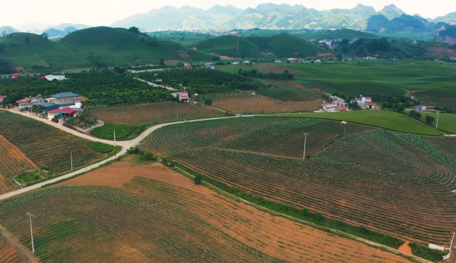 Đôi nét về Cao nguyên Mộc Châu - Ảnh từ Vietnam Road Trip