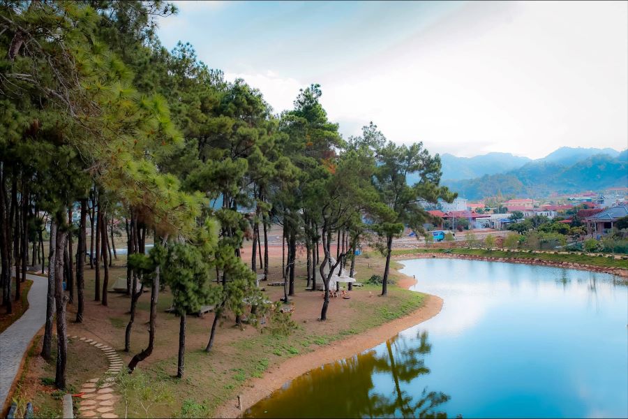 Đôi nét về rừng thông Bản Áng - Ảnh từ Đức Mẫn Đôi nét về rừng thông Bản Áng - Ảnh từ Đức Mẫn