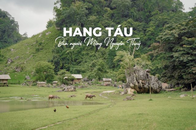 Hang Táu - Ảnh từ Yến Nguyễn