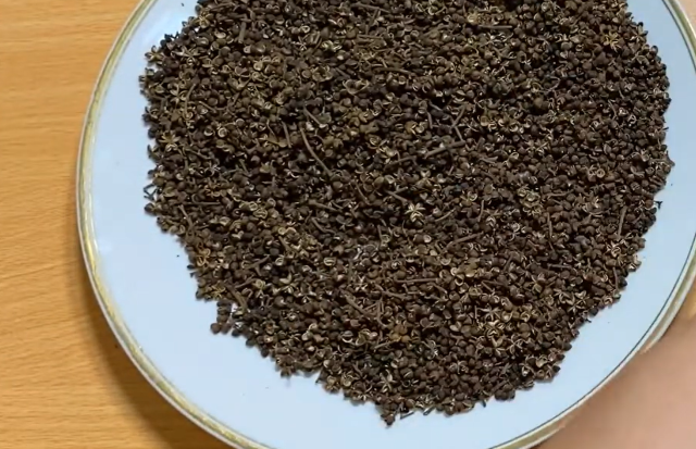 Hạt mắc khén - Ảnh từ Cây thuốc quý