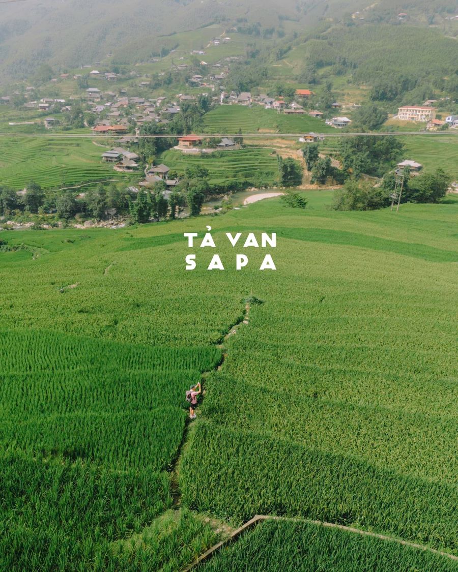 Lào Chải Tả Van Sapa - Ảnh từ Bùi Quang Huy