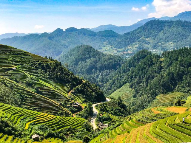 Ruộng bậc thang(Cánh đồng lúa Khau Phạ) - Ảnh từ Phương Bee Ruộng bậc thang(Cánh đồng lúa Khau Phạ) - Ảnh từ Phương Bee