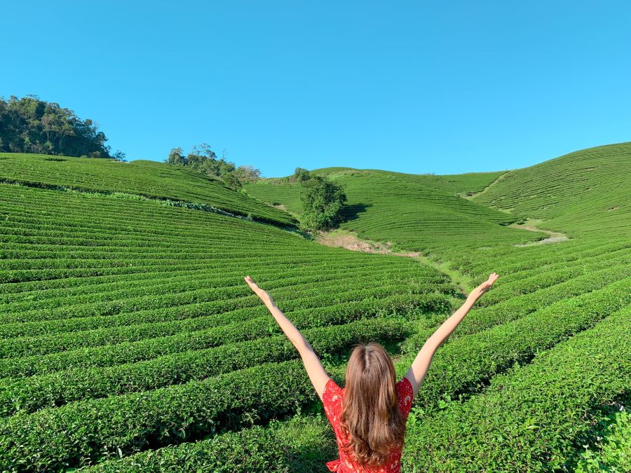 Thời tiết nắng ấm đẹp ở đồi chè trái tim Mộc Châu - Ảnh từ Nguyễn Ngọc Bích