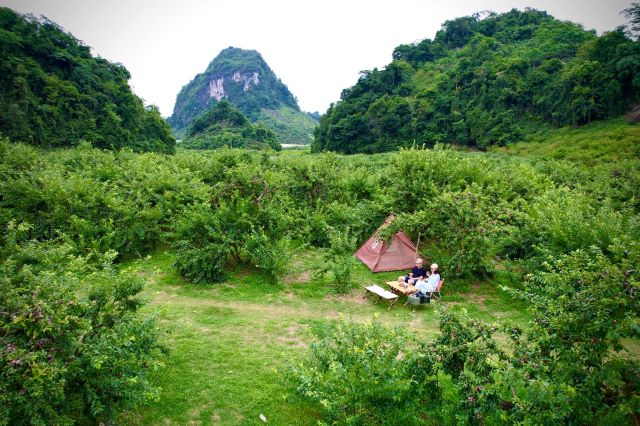 Thung lũng mận Nà Ka - Ảnh từ Đào Hải Vân