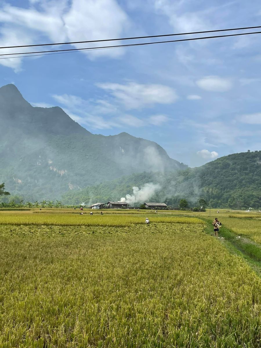 Bản Lác Mai Châu - Ảnh từ Nguyễn Đỗ Bình An