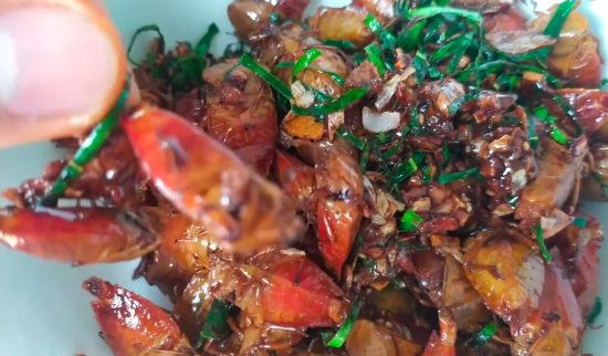 Bọ xít chiên giòn