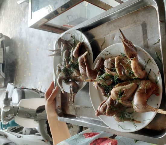 Chim to dần Kim Bảng