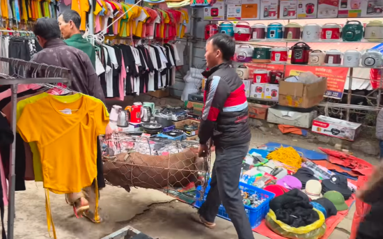 Chợ phiên Đồng Văn Hà Giang Ảnh từ Toro Pan