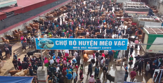 Chợ phiên Mèo Vạc ở Hà Giang - Ảnh từ Tôi Người Vùng Cao