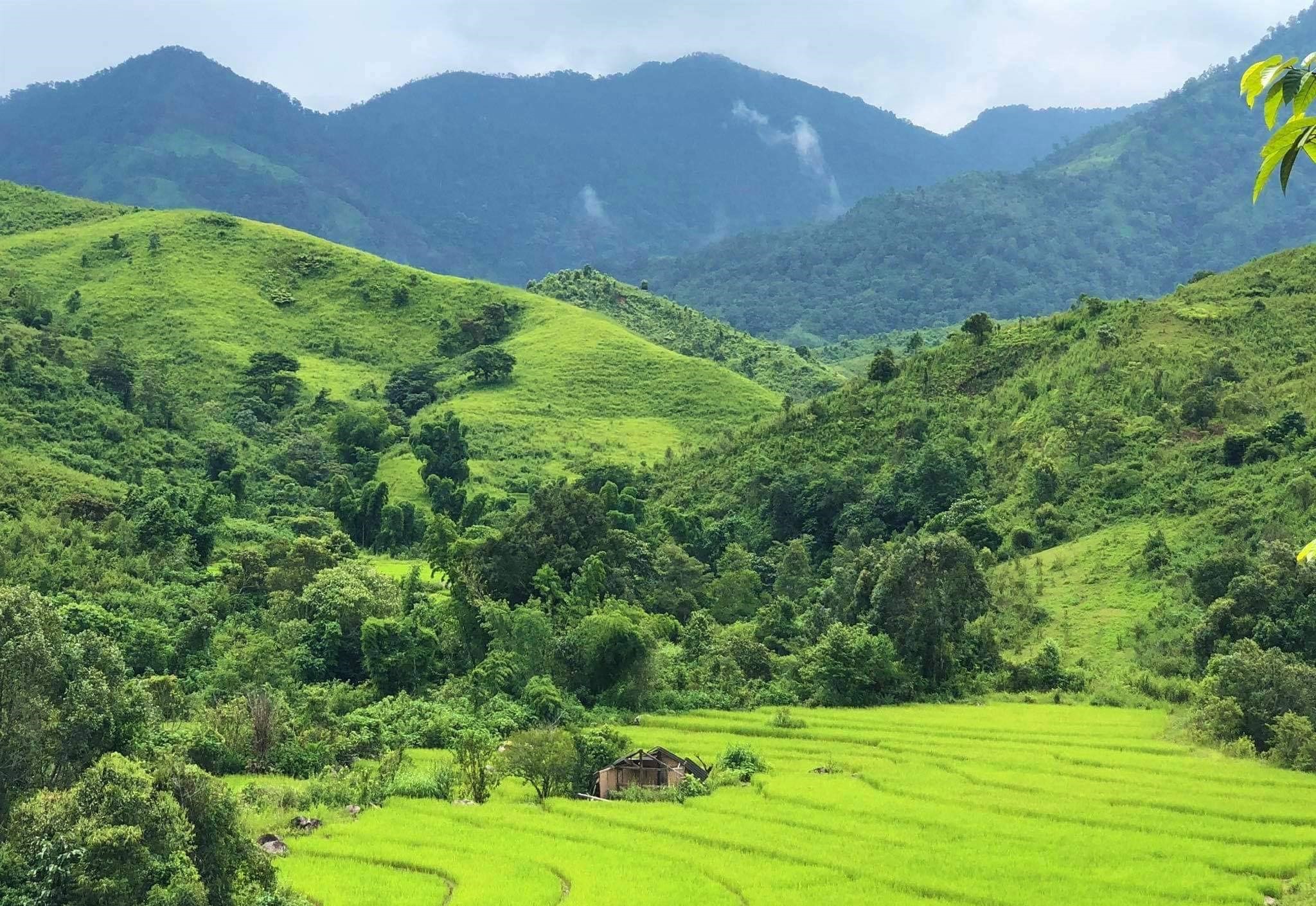 Đặc sản điện biên
