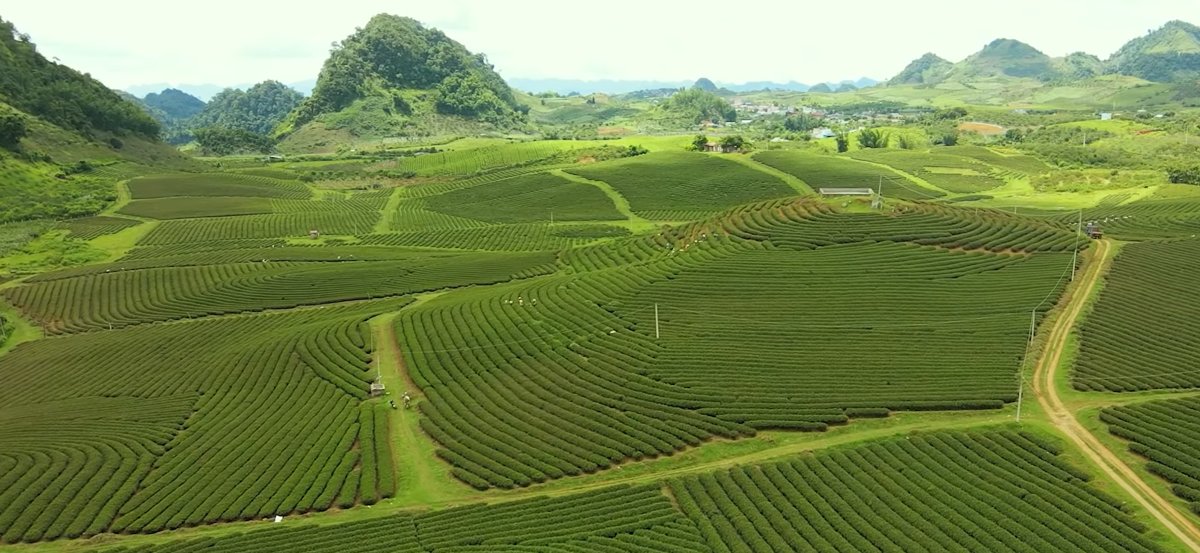 Đặc sản Sơn La