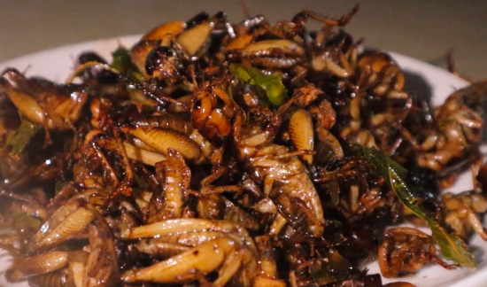 Dế mèn chiên giòn Nghĩa Lộ