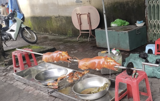 Lợn cắp nách Lai Châu Lợn cắp nách Lai Châu