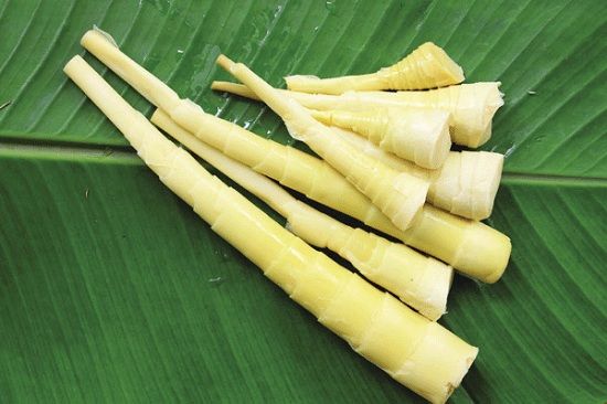 Măng đắng Điện Biên