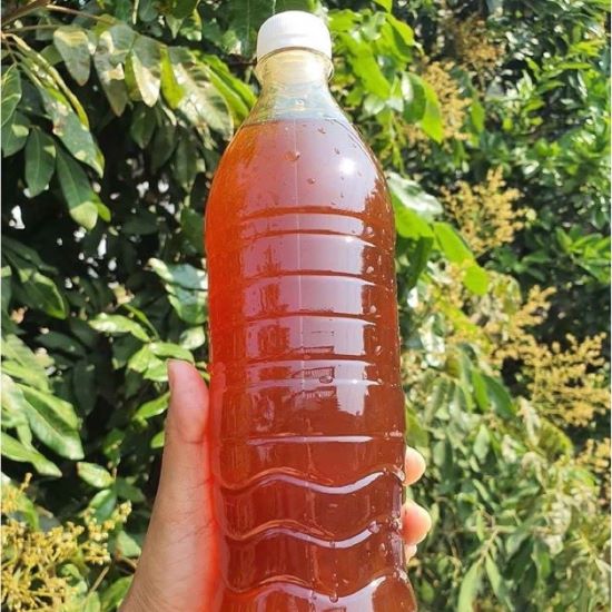 Mật ong hoa vải