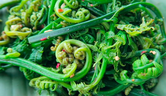 Nộm rau dớn Yên Bái