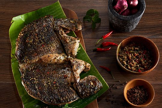 Pa pỉnh tộp