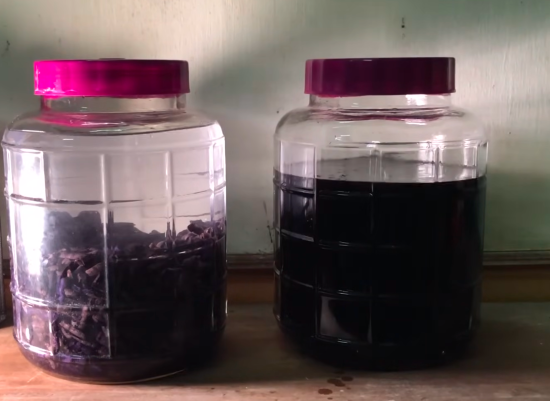 Rượu ba kích - Ảnh từ kênh SanhLong Distillery Rượu ba kích - Ảnh từ kênh SanhLong Distillery