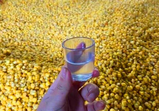 Rượu ngô Hà Giang