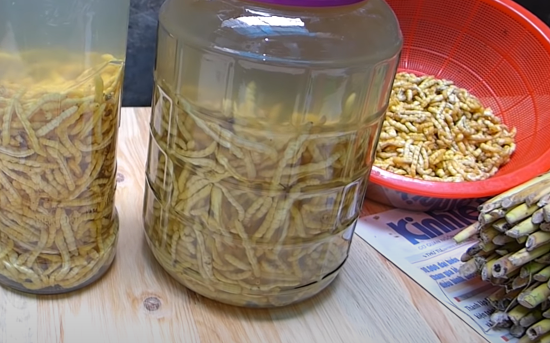 Rượu sâu chít Rượu sâu chít
