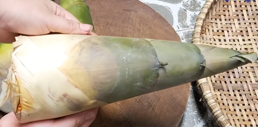 Chọn những búp măng tươi - Ảnh sưu tầm