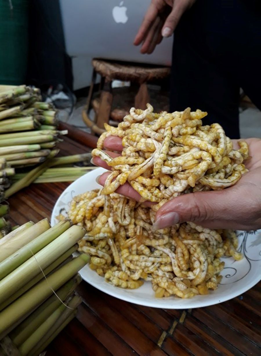 Thu hoạch sâu chít - Ảnh từ Sâu chít Điện Biên