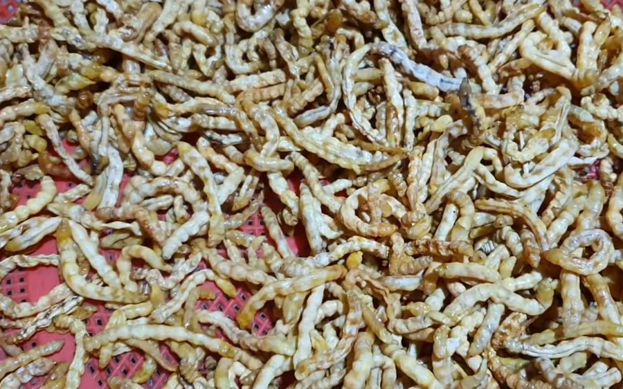 Sâu chít sấy khô - Ảnh từ điện biên đặc sản