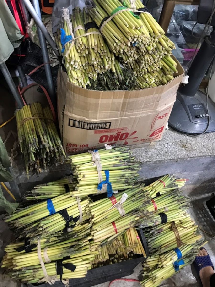 Tác dụng của sâu chít - Ảnh từ Sâu chít Điện Biên