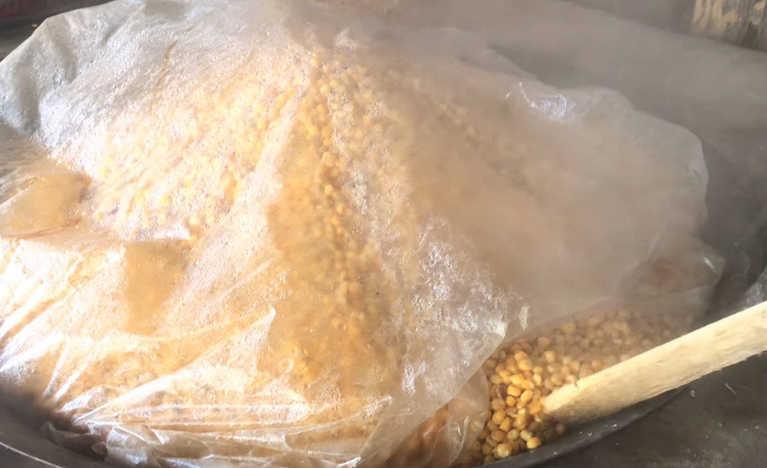 Bung ngô - Ảnh từ Dân Lan Du Ký