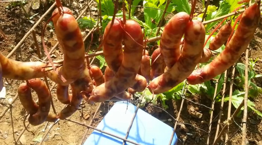 Mang lạp xưởng đi phơi nắng khoảng 3 5 ngày - Ảnh từ TÂY BẮC TUBE