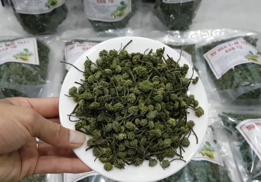 Sử dụng nụ hoa tam thất sẽ hỗ trợ chứng mất ngủ rất tốt - Ảnh từ điện biên đặc sản