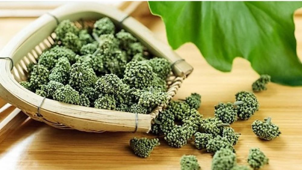 Tác dụng của nụ hoa tam thất - Ảnh sưu tầm