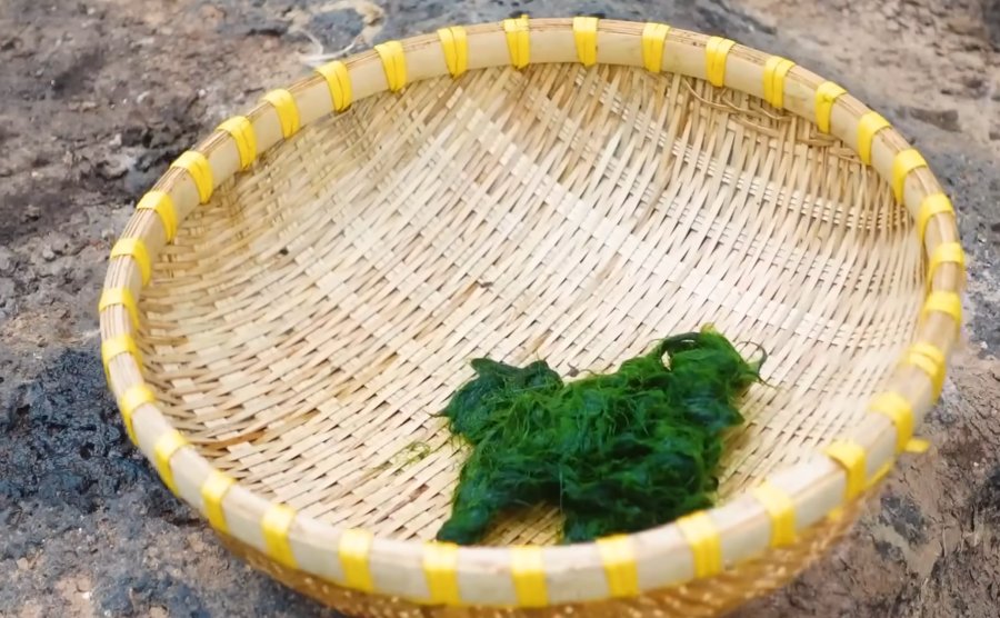 Vo nắm rêu đá lại thành nắm to để ráo - Ảnh Ka Tu Nguyễn