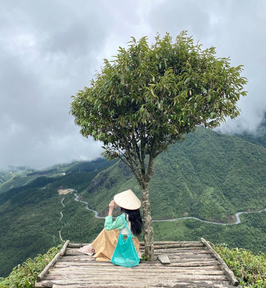 Check in cây cô đơn trên đoạn đường đèo Ô Quy Hồ - Ảnh từ Thu Thảo Check in cây cô đơn trên đoạn đường đèo Ô Quy Hồ - Ảnh từ Thu Thảo