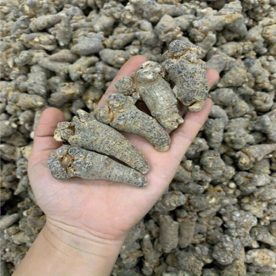 Công dụng củ tam thất bắc - Ảnh sưu tầm