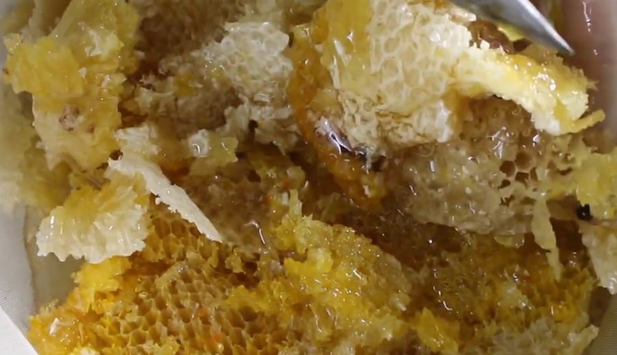 Sáp mật ong chứa nhiều dưỡng chất có tác dụng rất tốt đối với cơ thể - Ảnh từ Tây Bắc Discovery Sáp mật ong chứa nhiều dưỡng chất có tác dụng rất tốt đối với cơ thể - Ảnh từ Tây Bắc Discovery