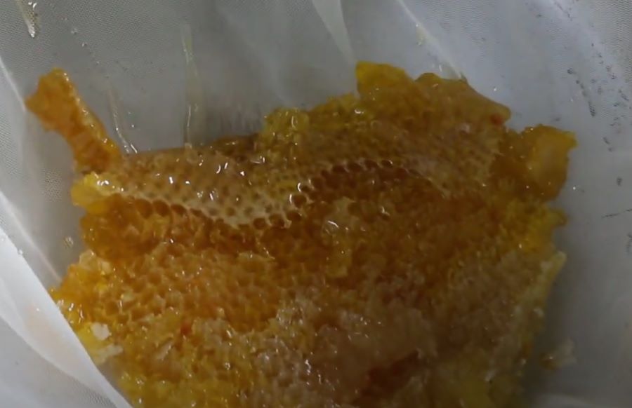 Sáp mật ong Khoái - Ảnh từ Tây Bắc Discovery Sáp mật ong Khoái - Ảnh từ Tây Bắc Discovery