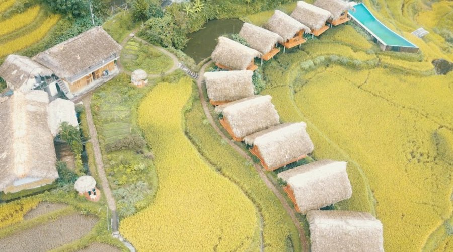 View tầm nhìn ra ruộng bậc thang đẹp hút hồn của Hoàng Su phì Lodge - Ảnh từ Hoang Su Phi lodge