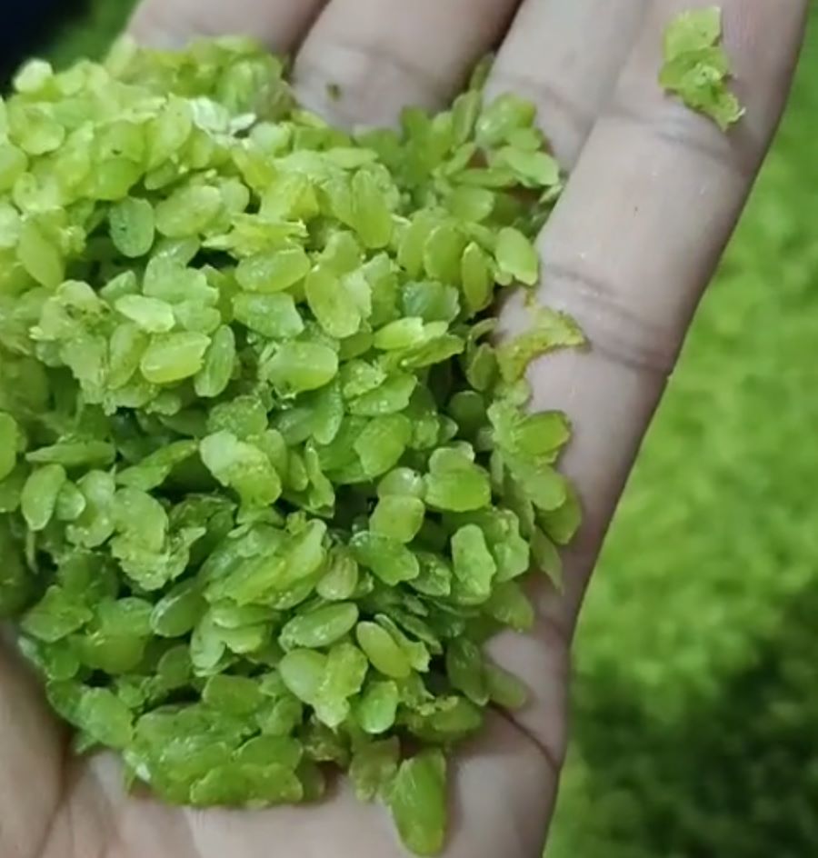 Cốm đặc sản nổi tiếng ở vùng Tây Bắc - Ảnh sưu tầm Cốm đặc sản nổi tiếng ở vùng Tây Bắc - Ảnh sưu tầm