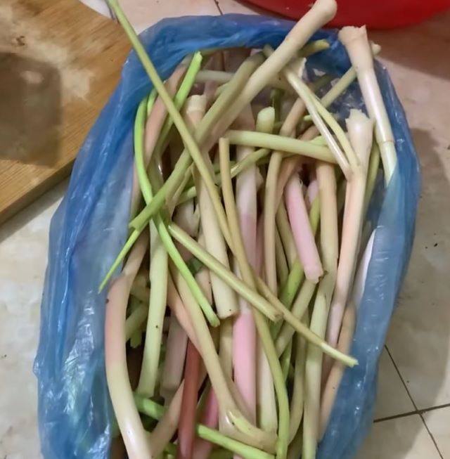Lợi ích sức khỏe từ măng riềng - Ảnh sưu tầm Lợi ích sức khỏe từ măng riềng - Ảnh sưu tầm