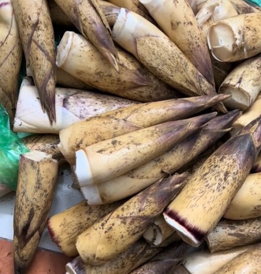 Măng vầu tươi Tây Bắc - Ảnh từ thanhthanh29 Măng vầu tươi Tây Bắc - Ảnh từ thanhthanh29