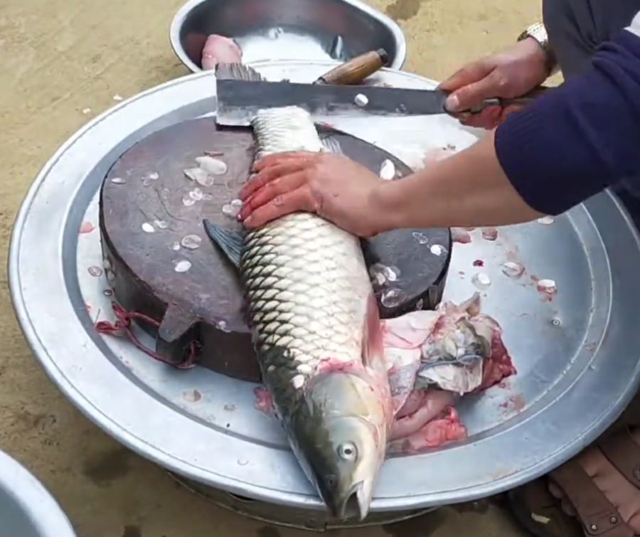 Sơ chế cá - Ảnh từ Lò Khánh