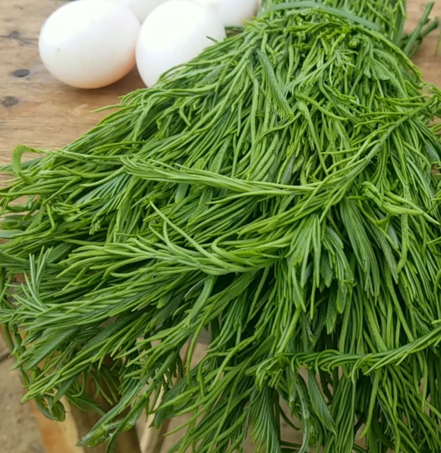 Tạc dụng của rau thối - Ảnh từ Tây bắc của tôi