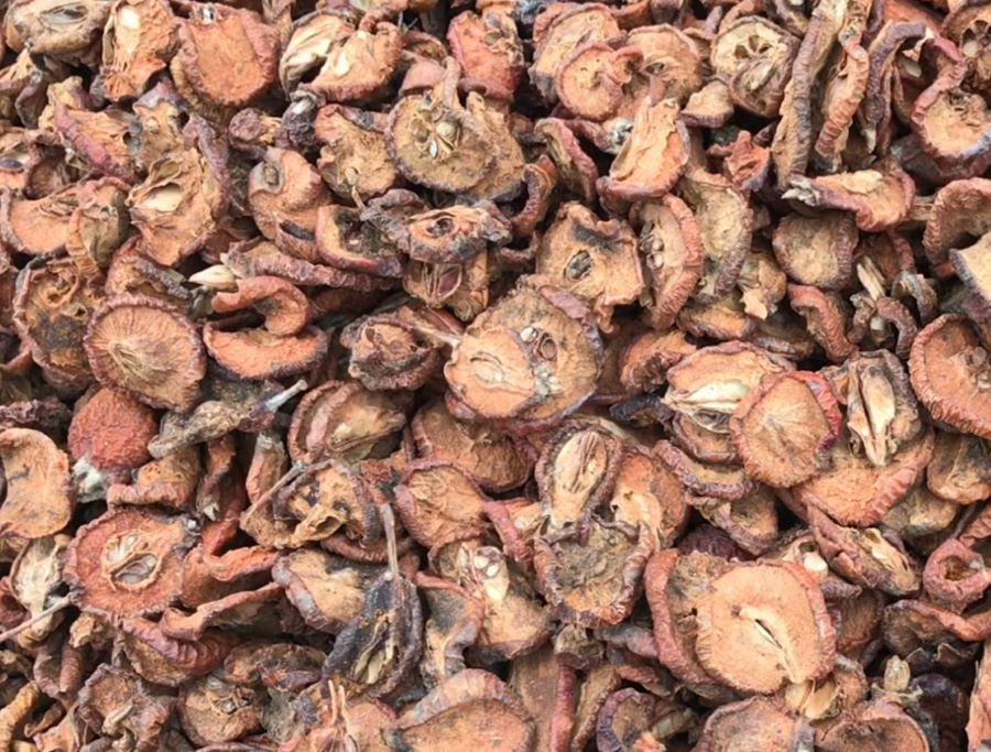 Táo mèo khô - Ảnh từ Dược liệu 365