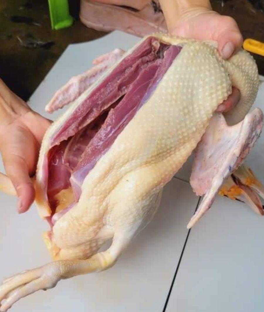 Giá trị dinh dưỡng của thịt ngan bản - Ảnh từ Phạm Yến