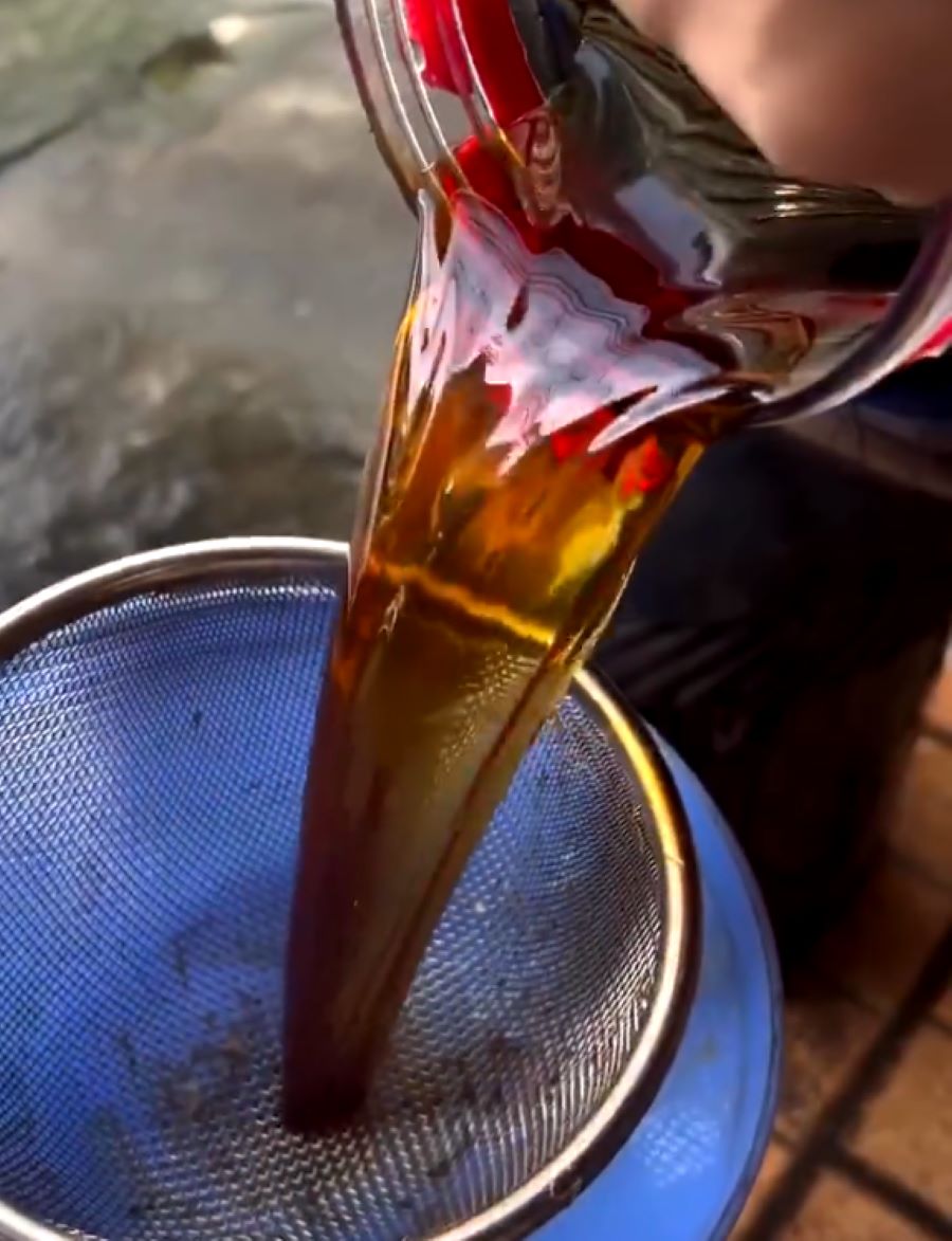 Giá trị dinh dưỡng trong rượu nấm ngọc cẩu mang lại cho sức khỏe - Ảnh sưu tầm