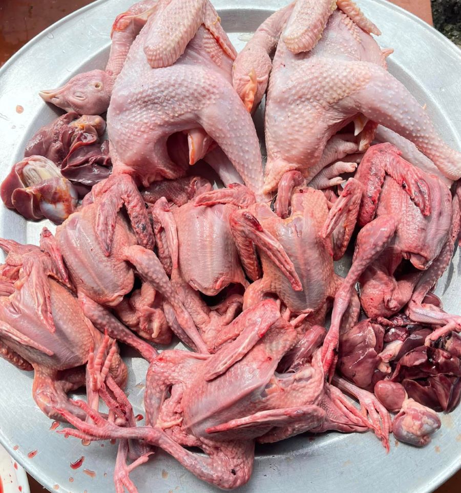 Lợi ích của thịt gà tre đối với sức khỏe - Ảnh từ XuÂn Bin