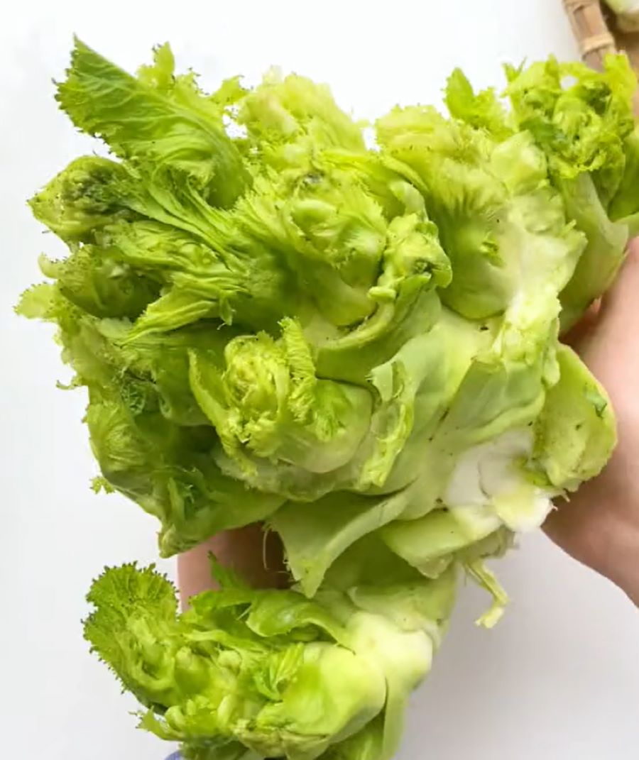 Mầm đá - Đặc sản Lào Cai - Ảnh từ bepcongchua